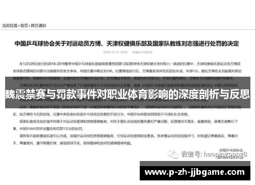 魏震禁赛与罚款事件对职业体育影响的深度剖析与反思
